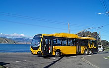 Thumbnail image for article titled 'What is better for the environment - diesel or electric buses? '